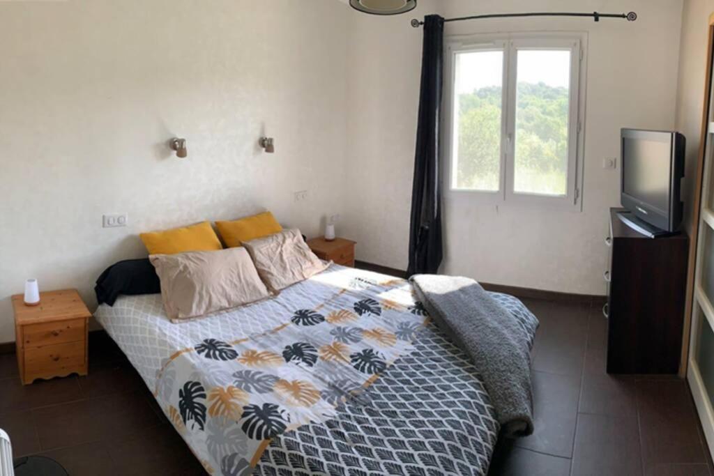 Vila Maison Spacieuse Et Calme Pres De La Cite Alairac Exteriér fotografie