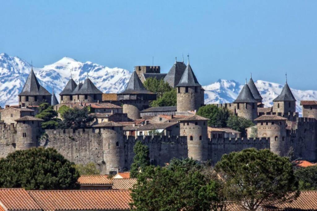 Vila Maison Spacieuse Et Calme Pres De La Cite Alairac Exteriér fotografie