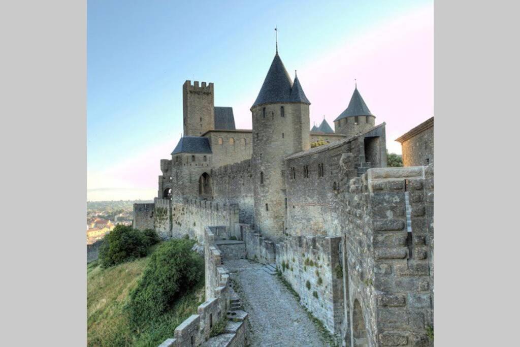Vila Maison Spacieuse Et Calme Pres De La Cite Alairac Exteriér fotografie